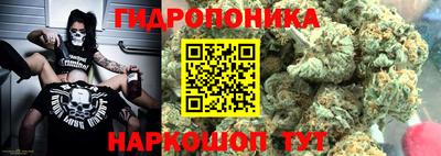 бошки Дубна