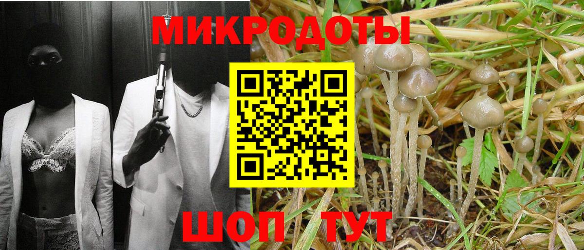 Галлюциногенные грибы Cubensis  Галлюциногенные грибы Magic Shrooms  купить наркоту  Вход с VPN  Лесосибирск 